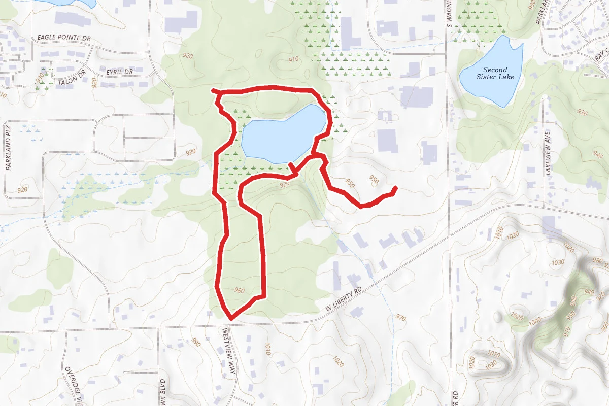 Saginaw Forest Loop