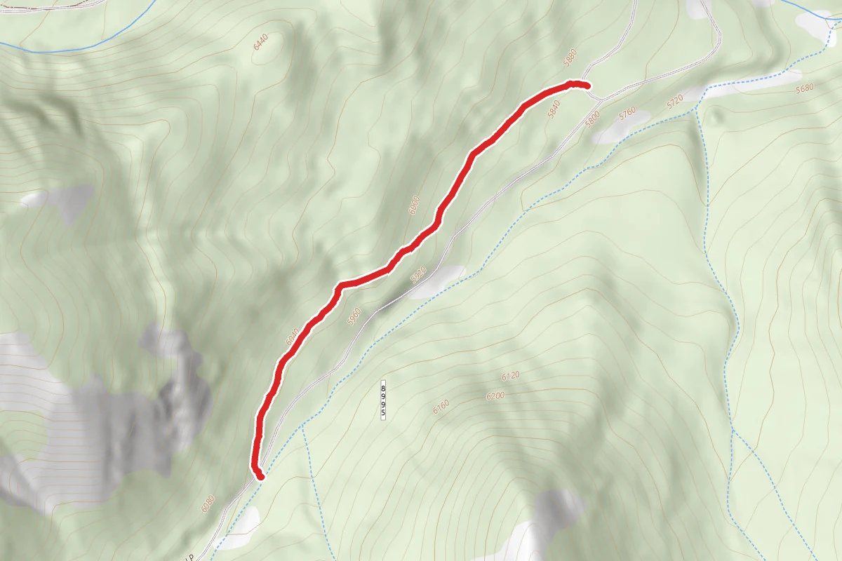 South Fork Waldron Terra