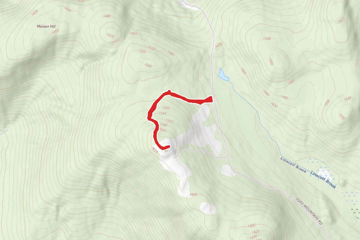 Foss Mountain