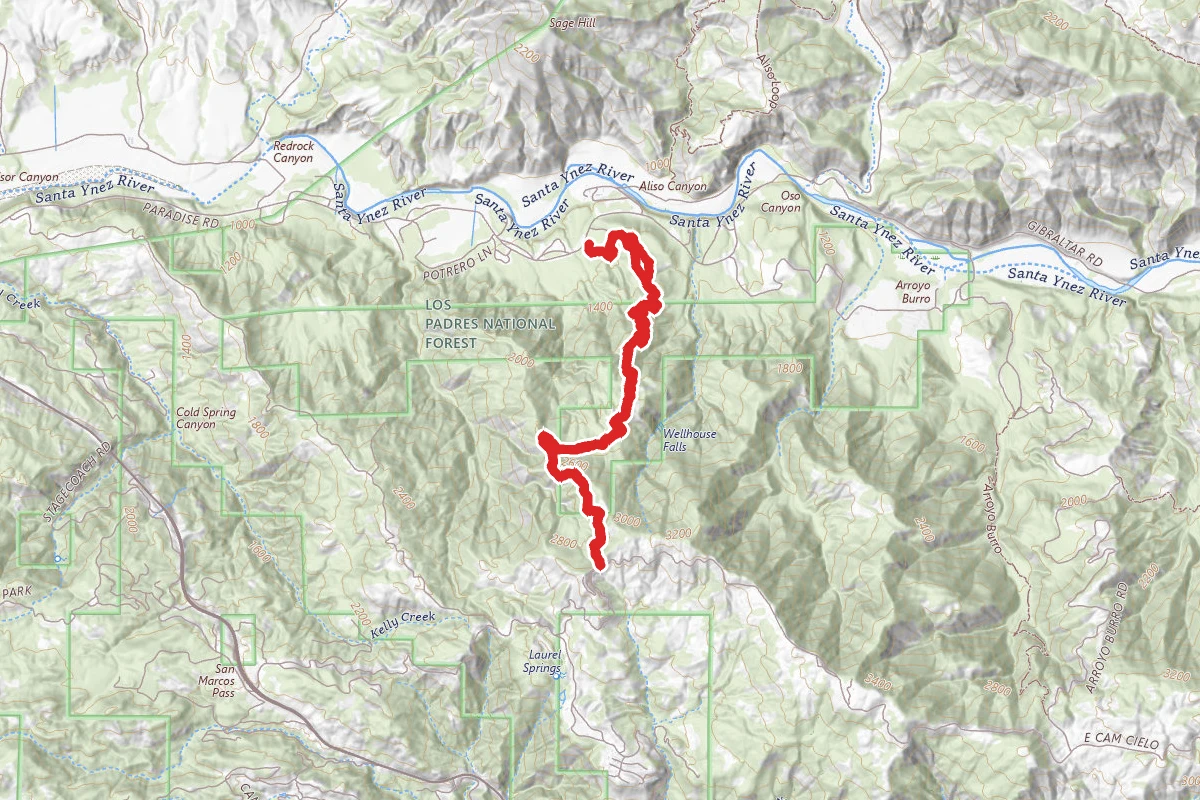 Snyder Trail