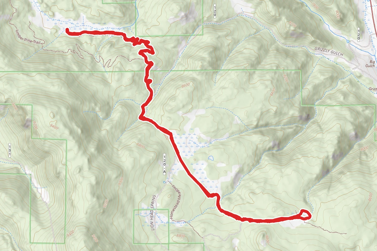 Homestead Meadows and Moose Meadows Loop