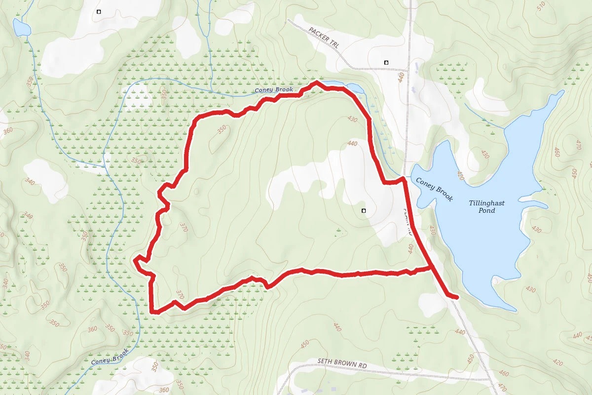 Coney Brook Trail