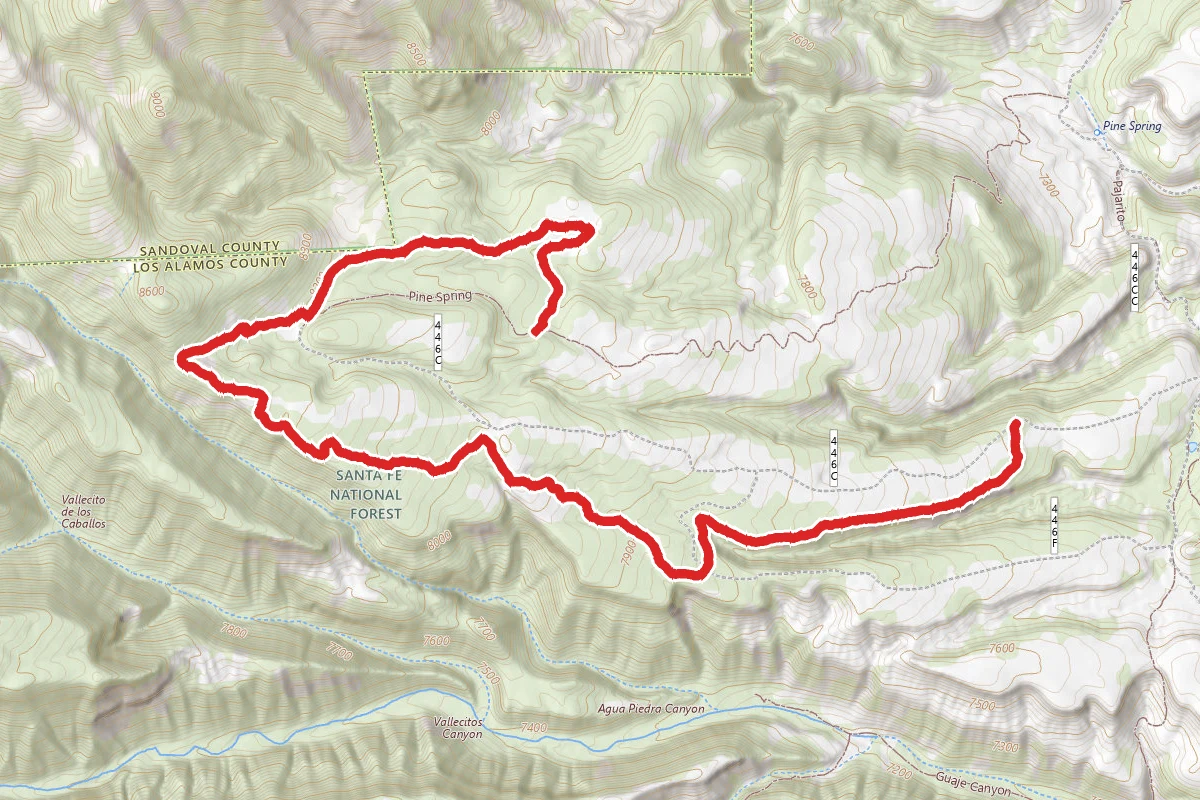 Alamitos Loop