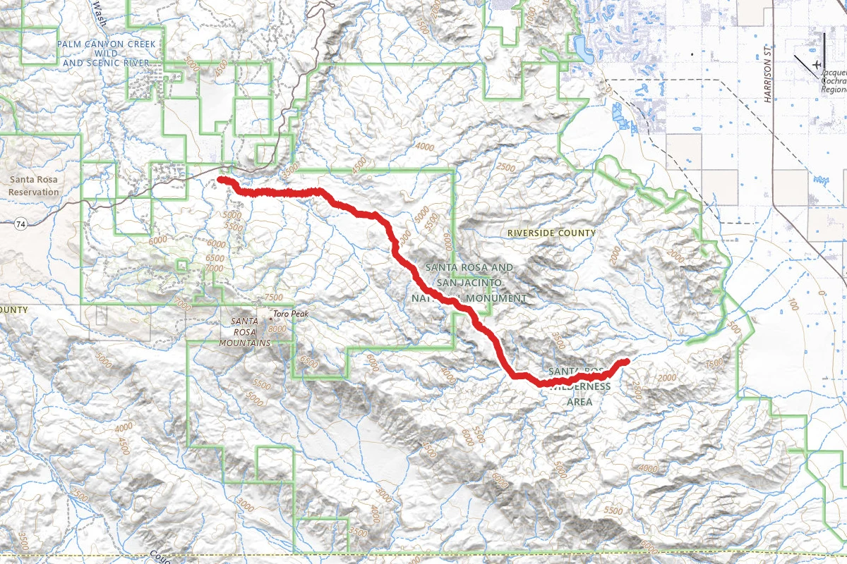 Cactus Spring Trail