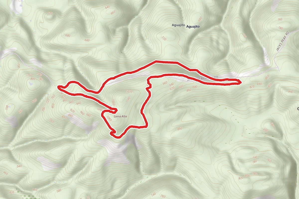 Jack's Peak, Coffeeberry, Lower Ridge and Pine Trail Loop