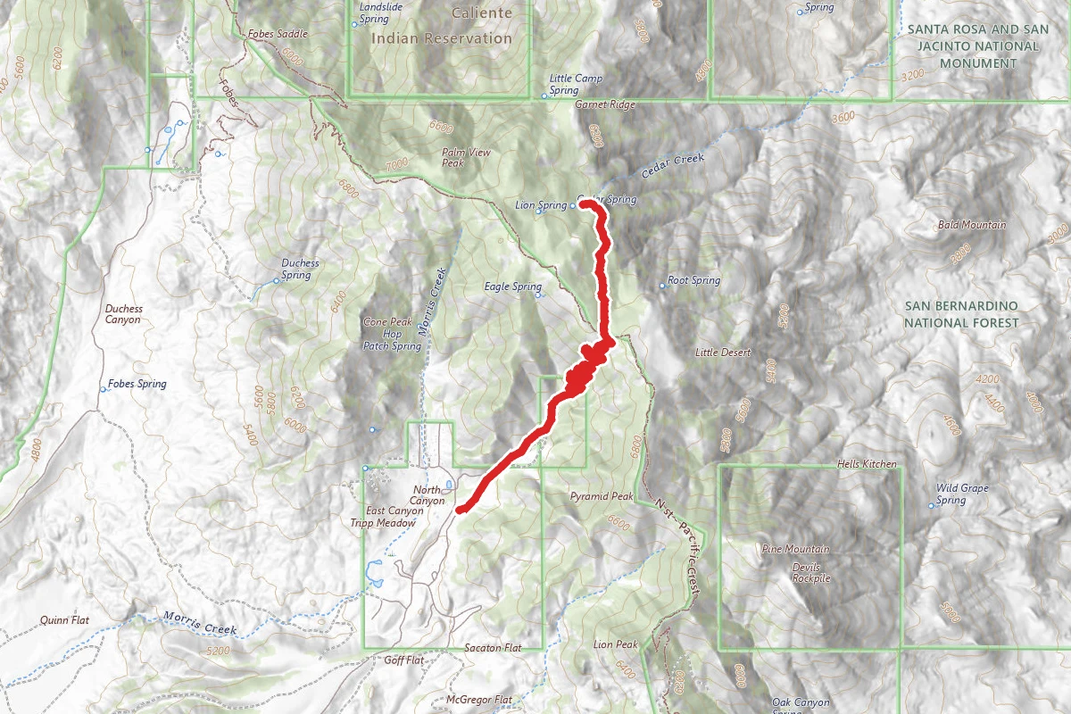 Cedar Springs Trail