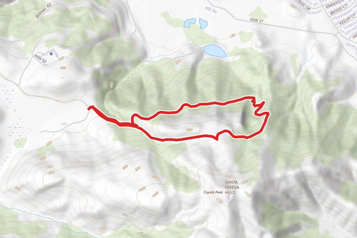 Ridge, Coyote Peak and Hidden Springs Trail Loop