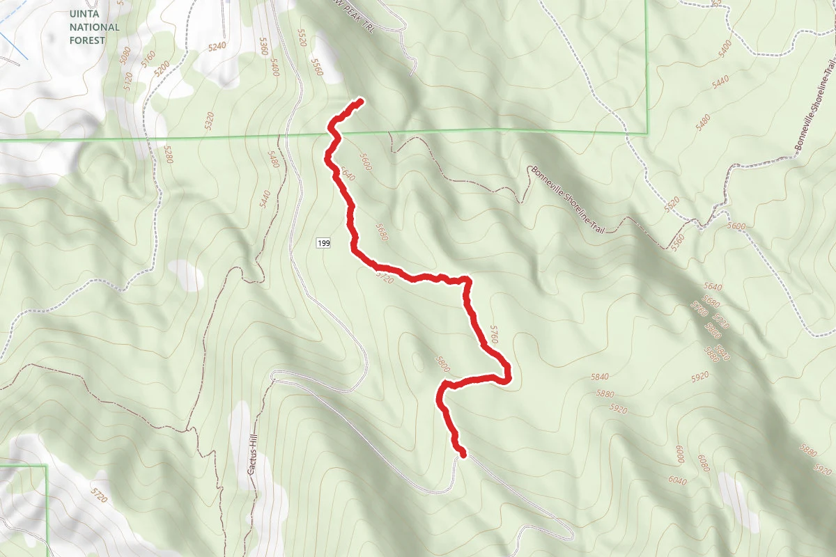 Luna's Trail