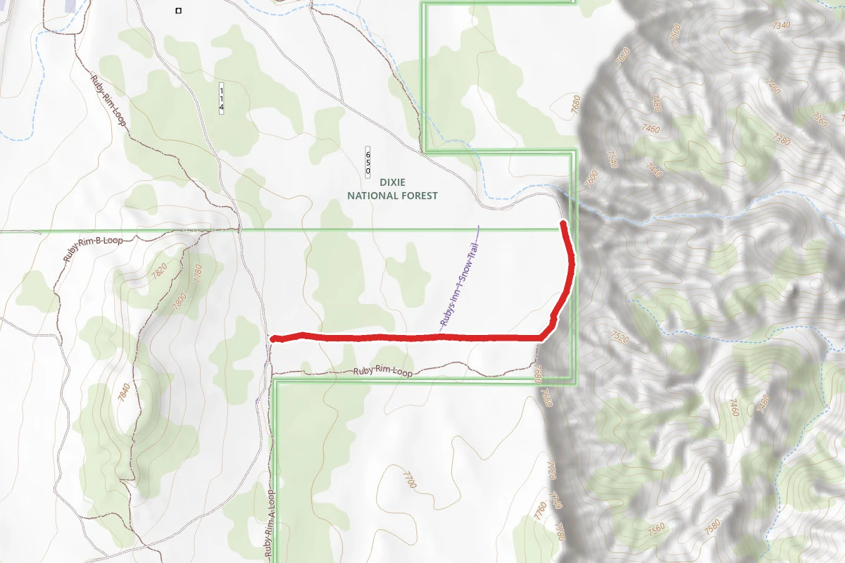 Rim Snow Trail