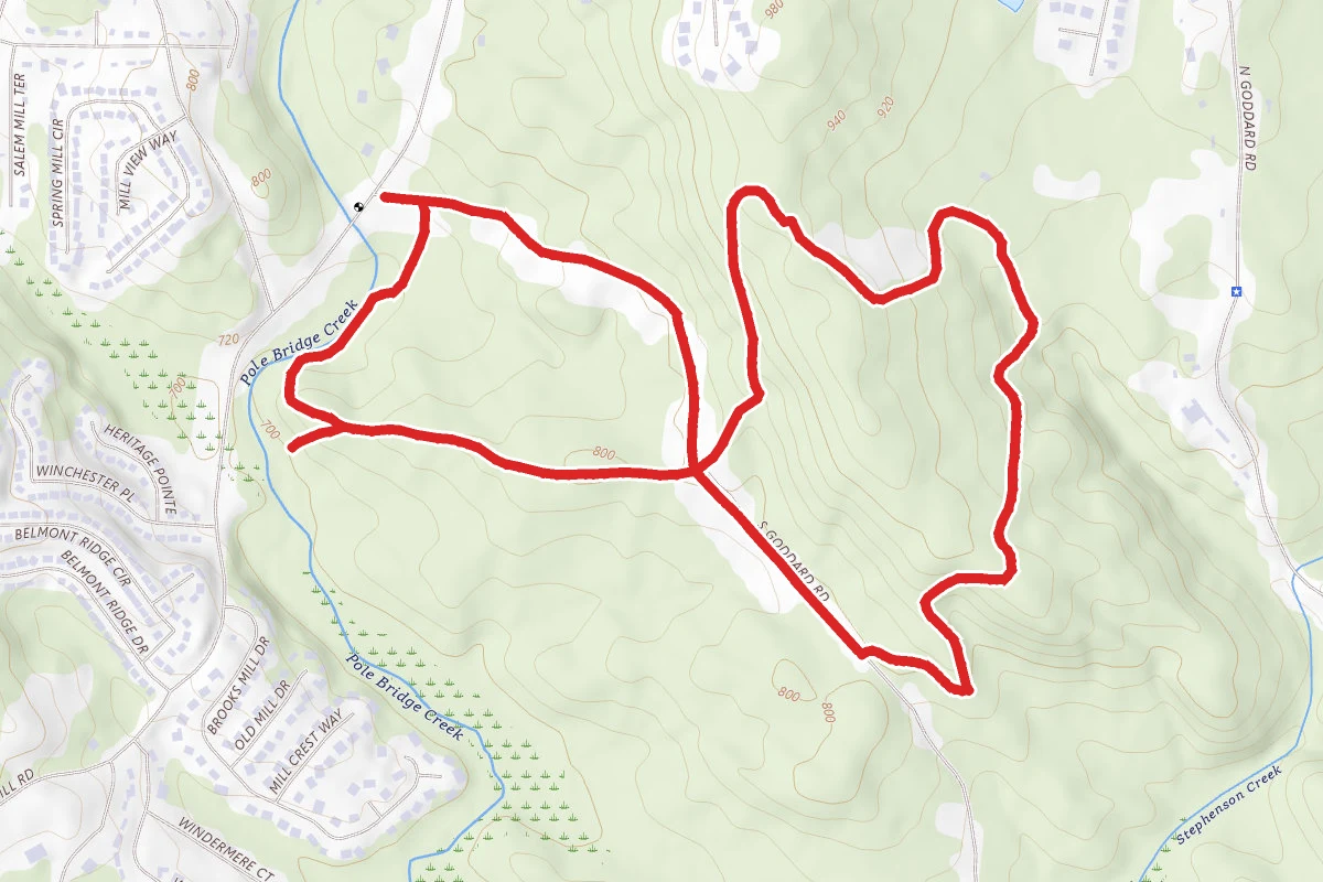 Davidson-Arabia - Cascade & Wilburn Farm