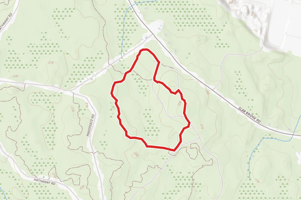 Freetown Fall River State Forest Loop