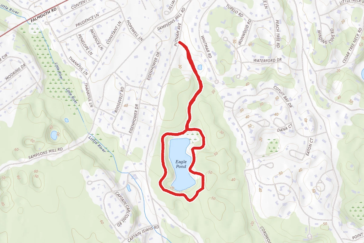 Eagle Pond Loop