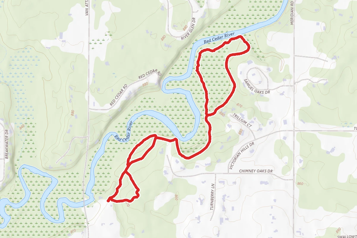 White Spruce and Beech Tree Loop