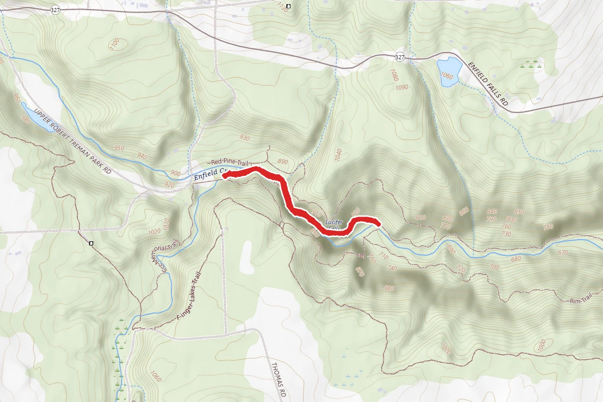 Enfield Creek Gorge Trail