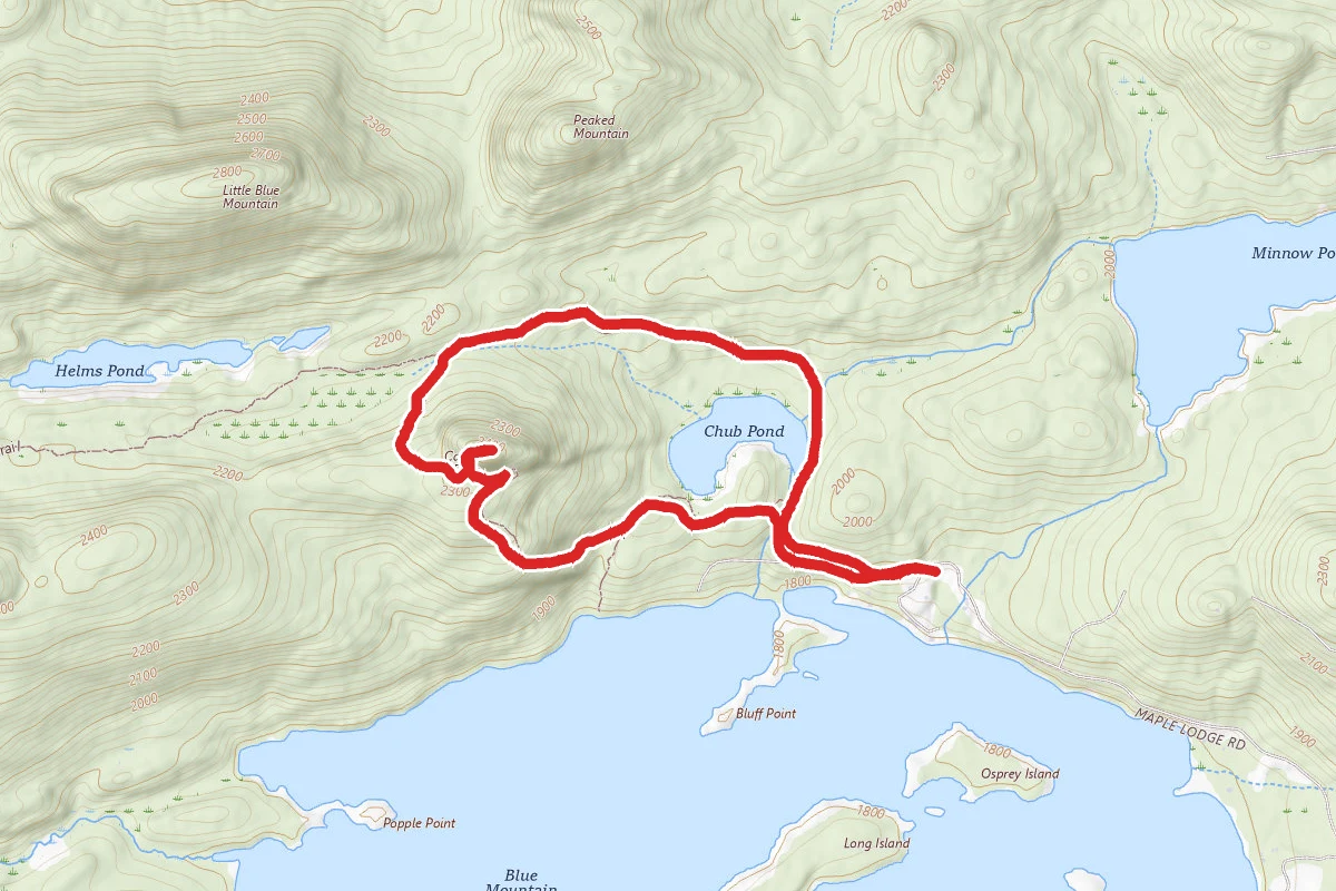 Castle Rock and Chub Pond Loop