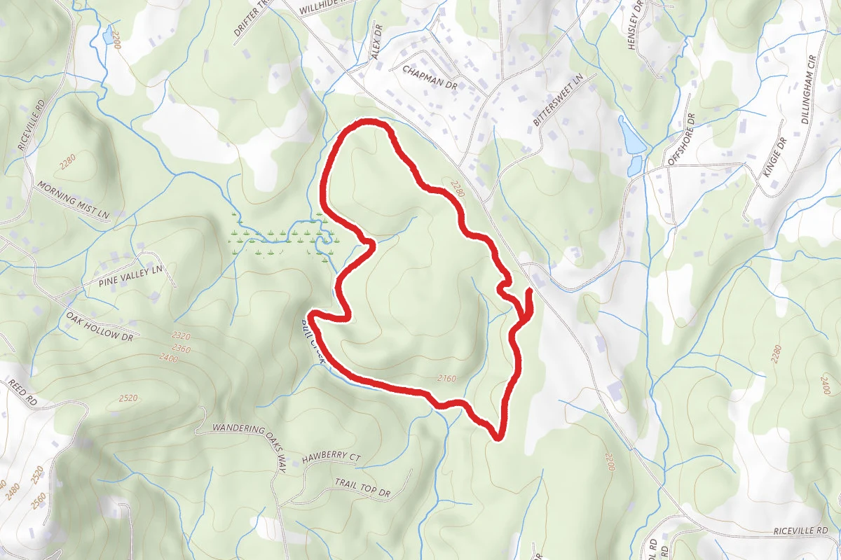 Big Berea Trail, Bull Creek Trail, and White Pine Loop