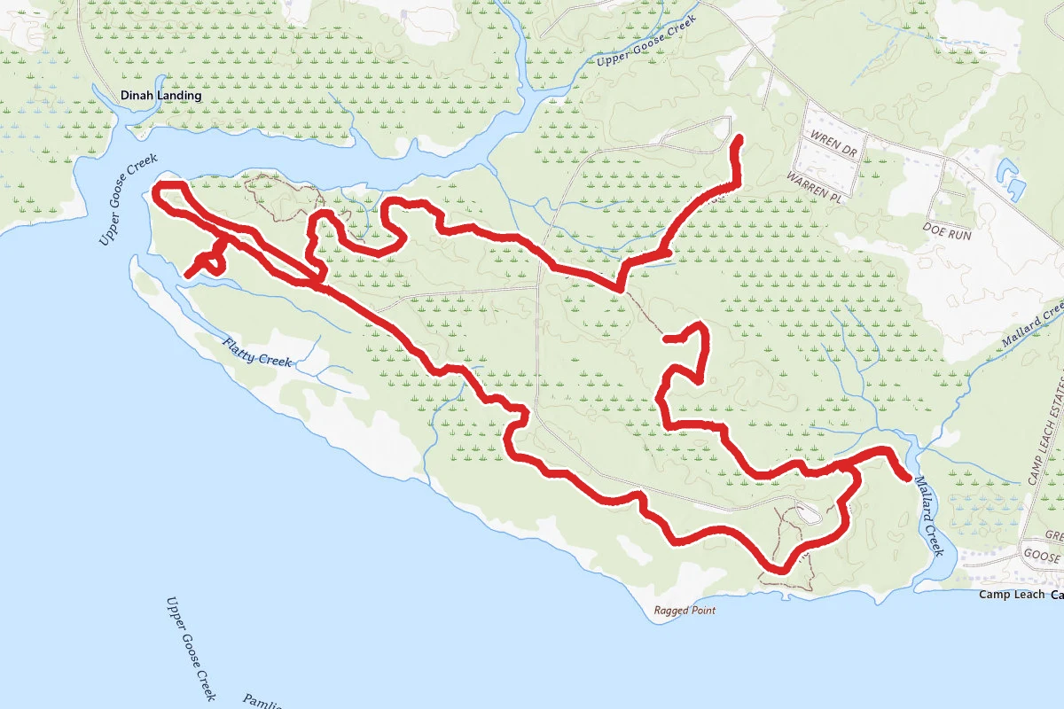 Palmetto Boardwalk, Tar Kiln, Huckleberry, Goose Creek, Ivey Gut Loop