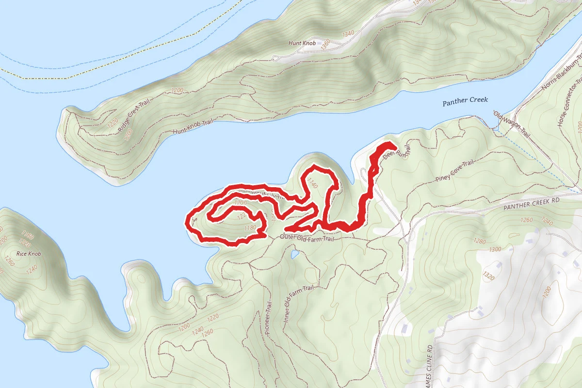 Pioneer Trout Lily Trail