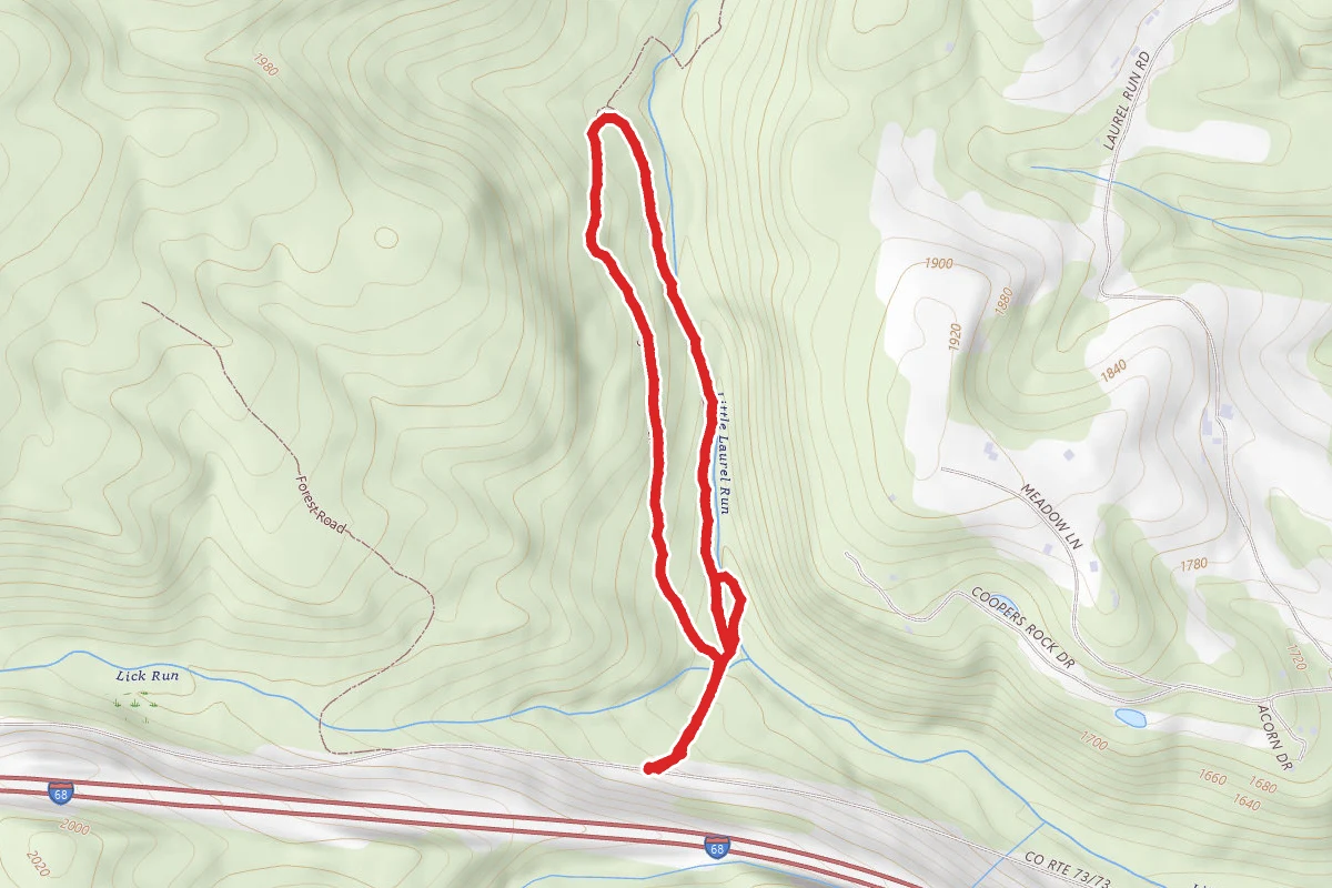 Virgin Hemlock to Tyrone Trail Loop