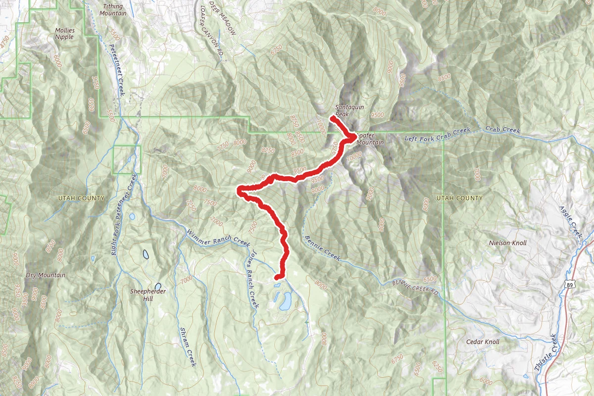 Loafer Mountain Trail