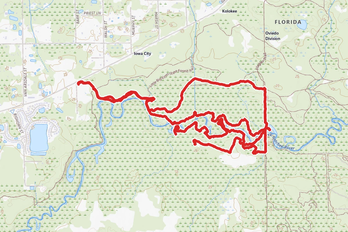 Little Big Econ State Forest Loop