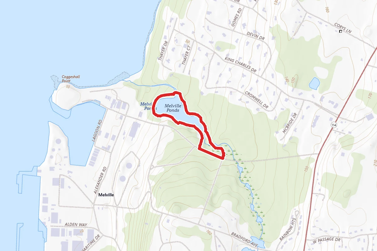 Melville Park Blue Trail