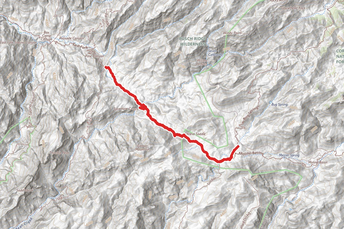 Sycamore Reservoir Trail