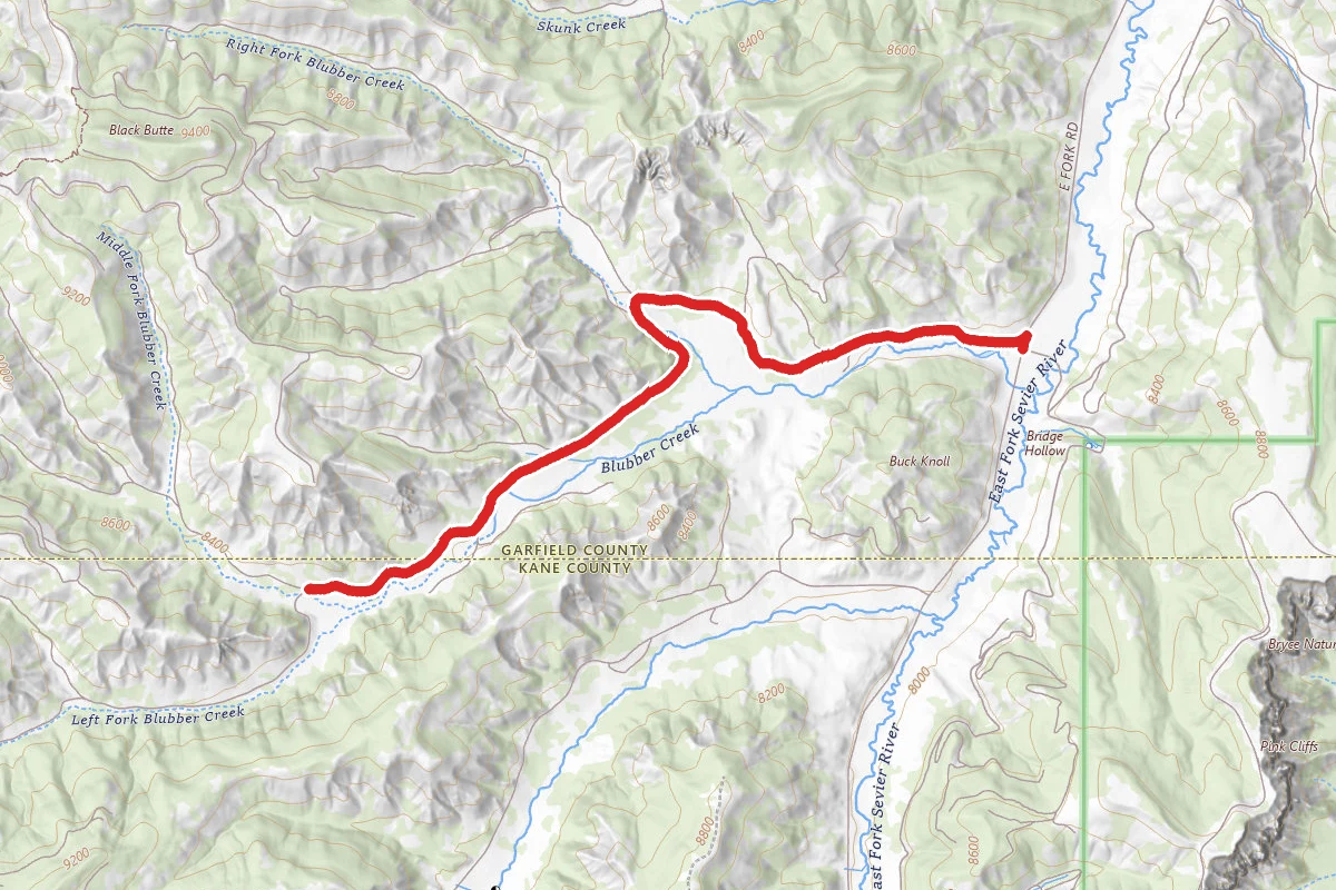 Blubber Creek Connector