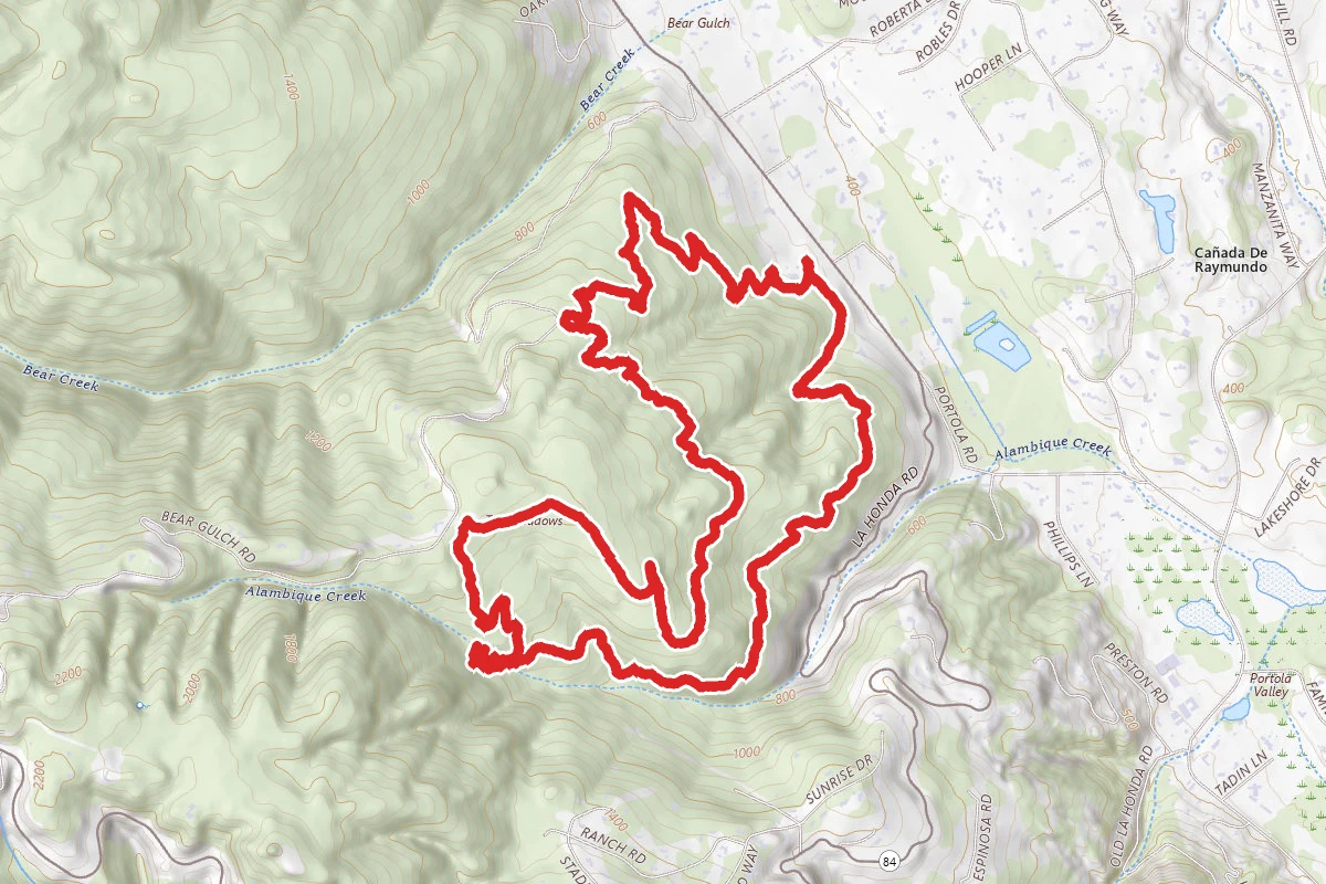 Alambique, Meadow, Redwood and Bear Gulch Trail Loop