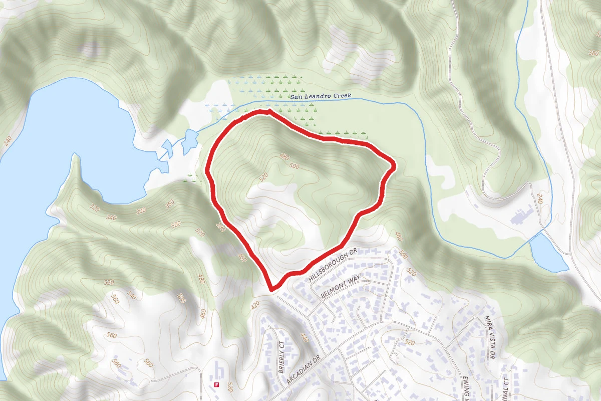 Cameron Loop Trail
