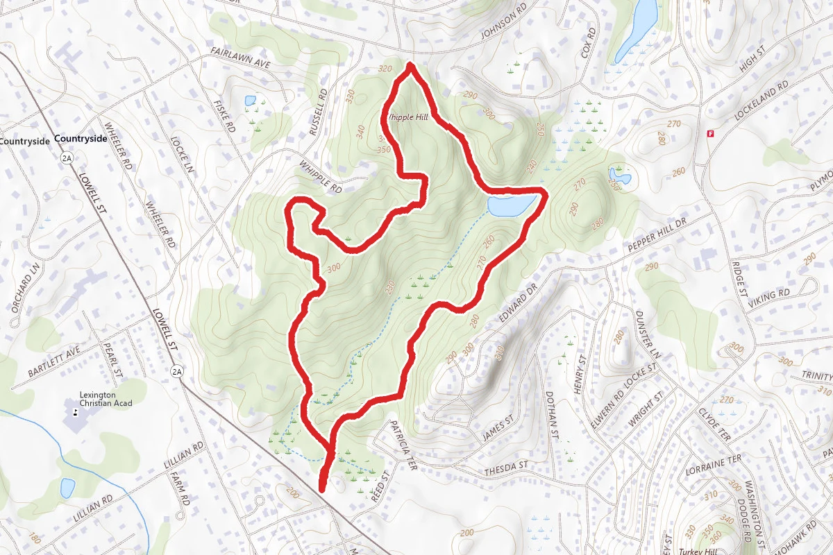 Whipple Hill Reserve