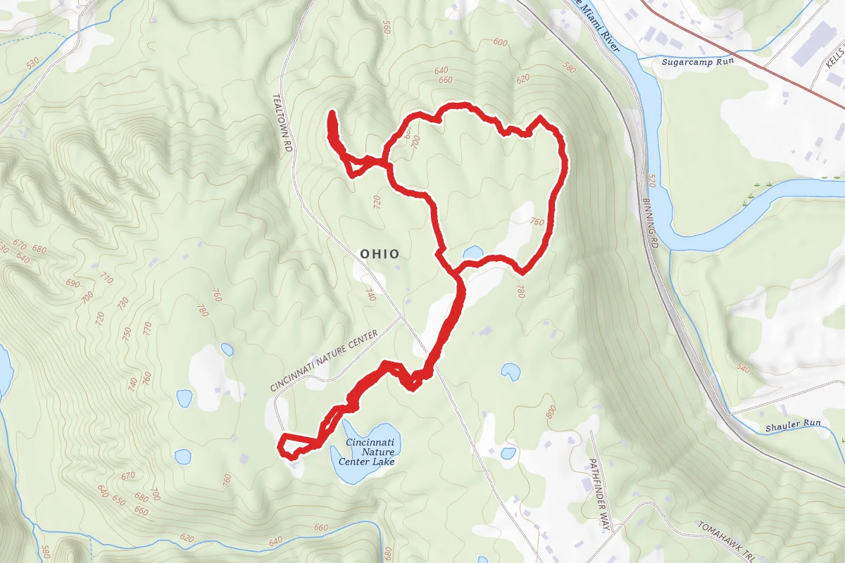Rowe Woods Lookout Loop