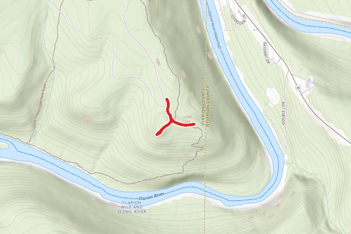 Seneca Viewpoint and Fire Tower Trail