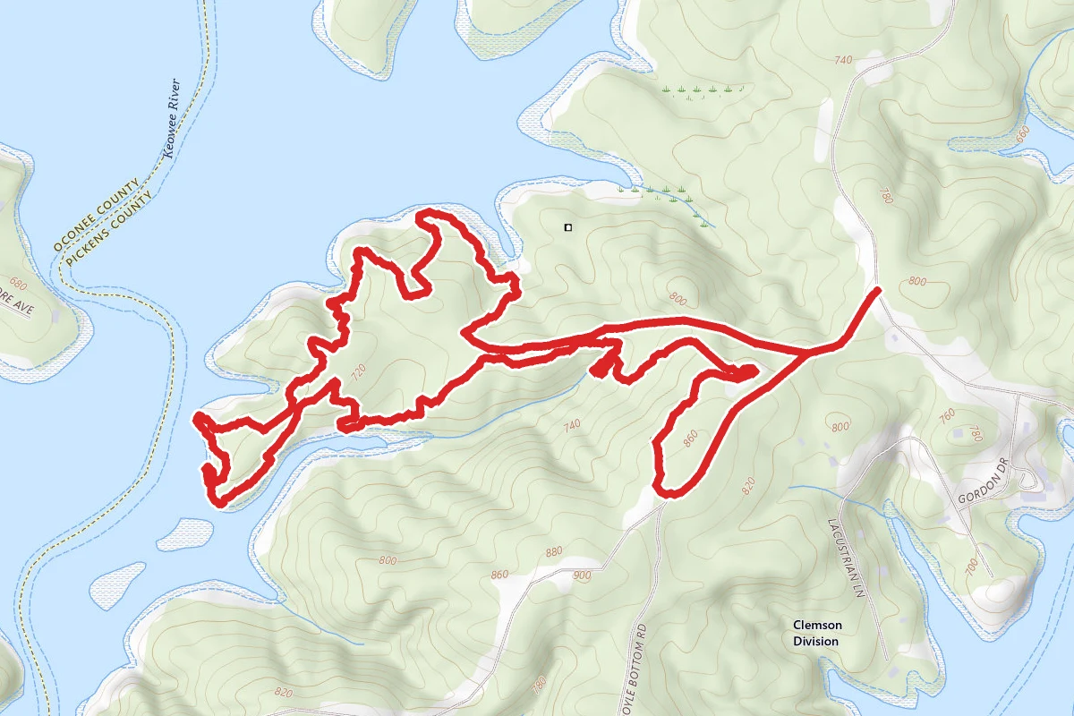 Double Fork Tree Trail