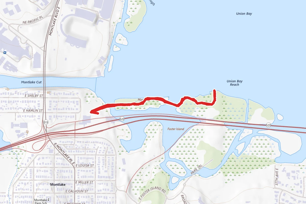 Arboretum Waterfront Trail