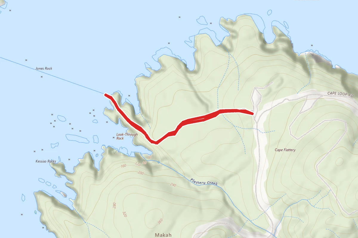 Cape Flattery Trail