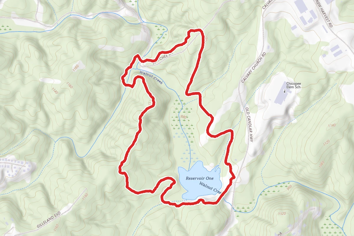 West Lake, Bridge, and East Lake Trails Loop