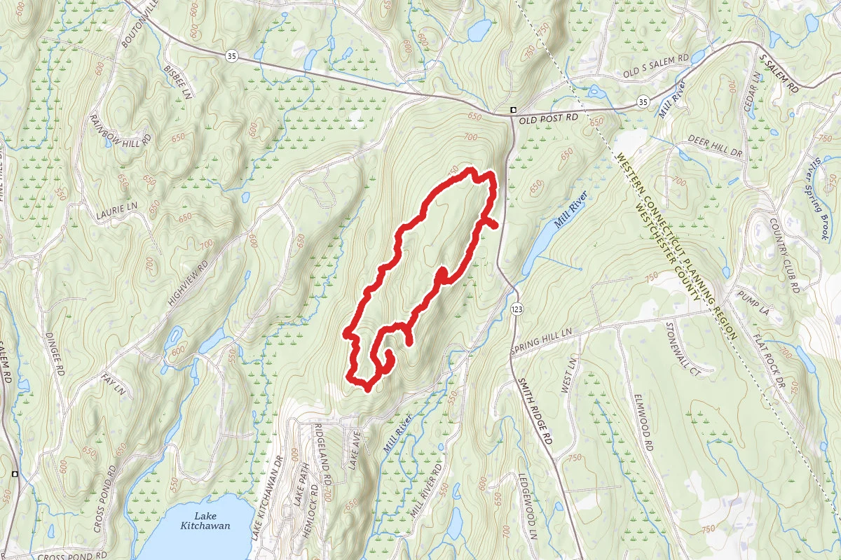Leon Levy Loop