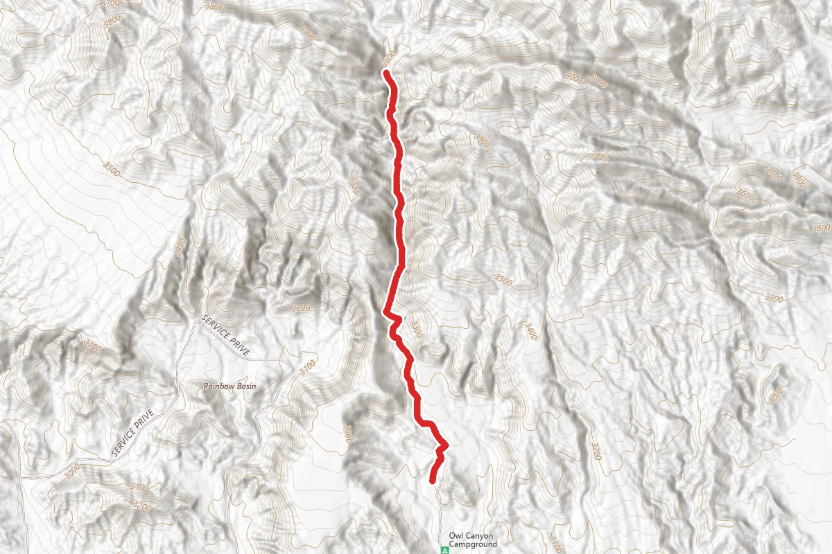 Owl Canyon Trail