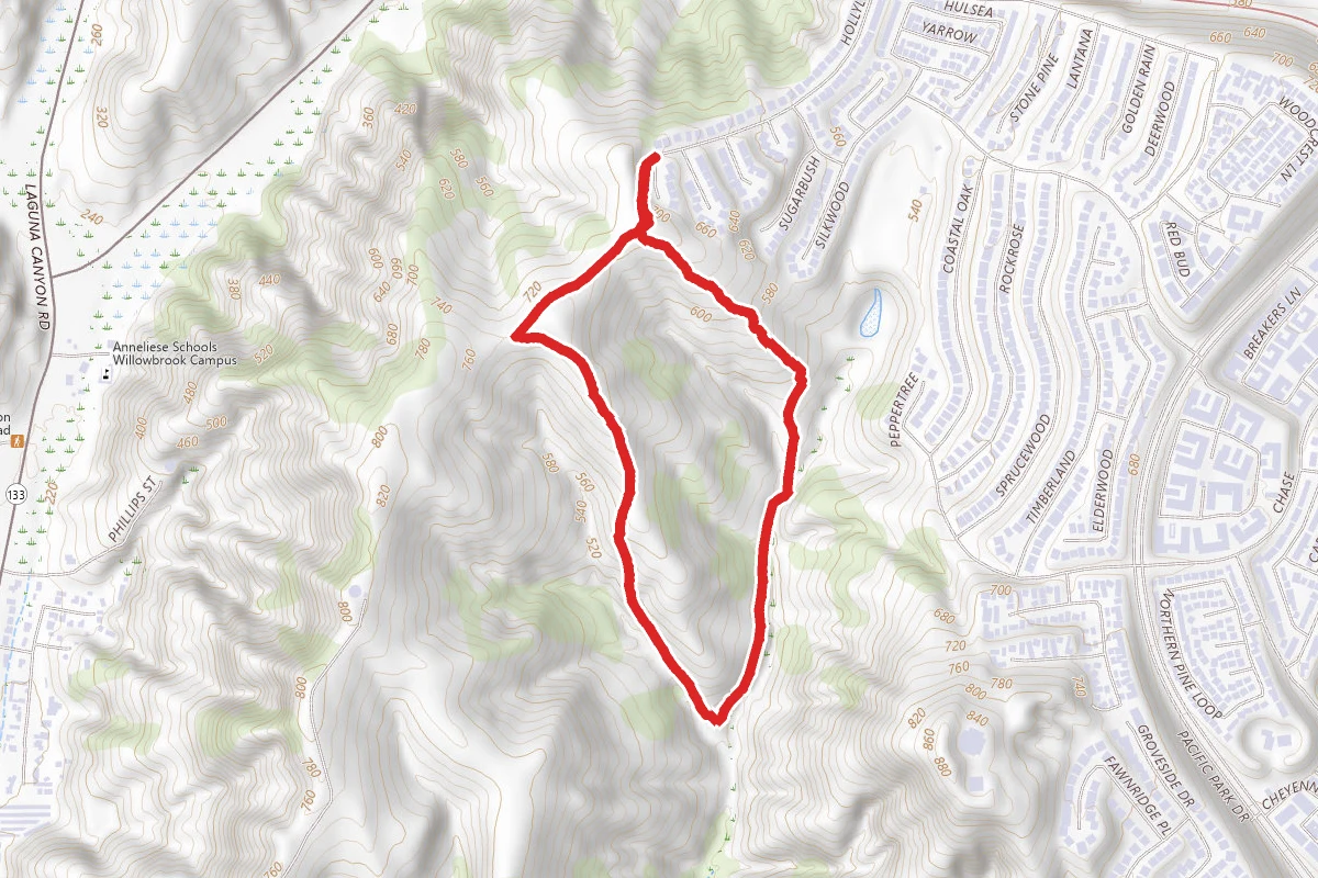 Cholla and Lynx Trail Loop