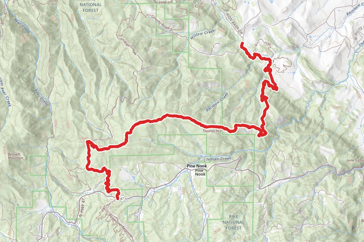 Ringtail Trail