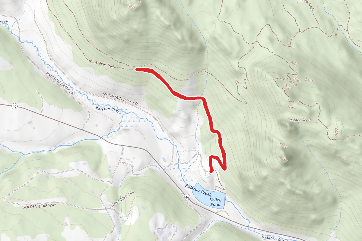 Blue Grouse Trail
