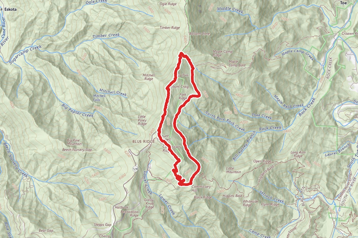 Mount Mitchell Loop