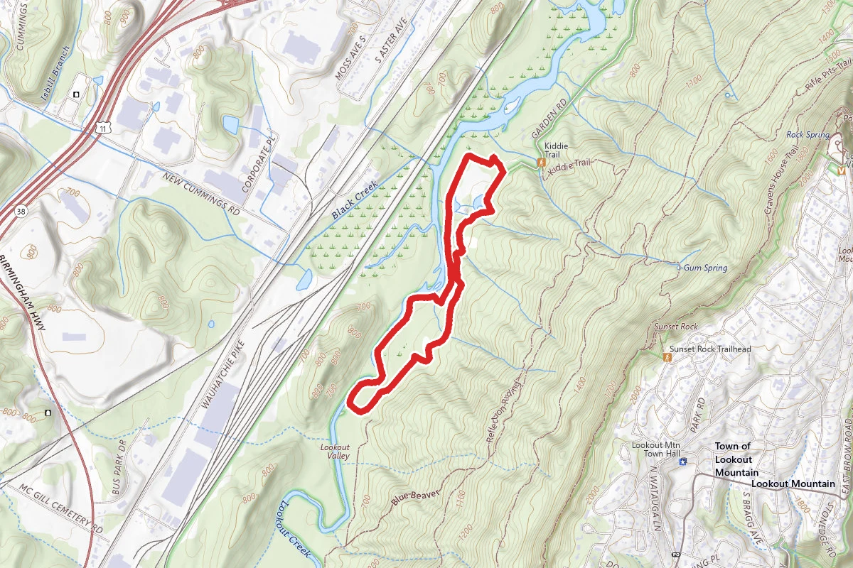 Lookout Creek Trail