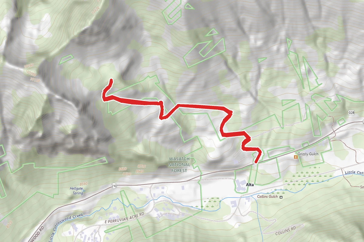 Cardiff Pass Trail