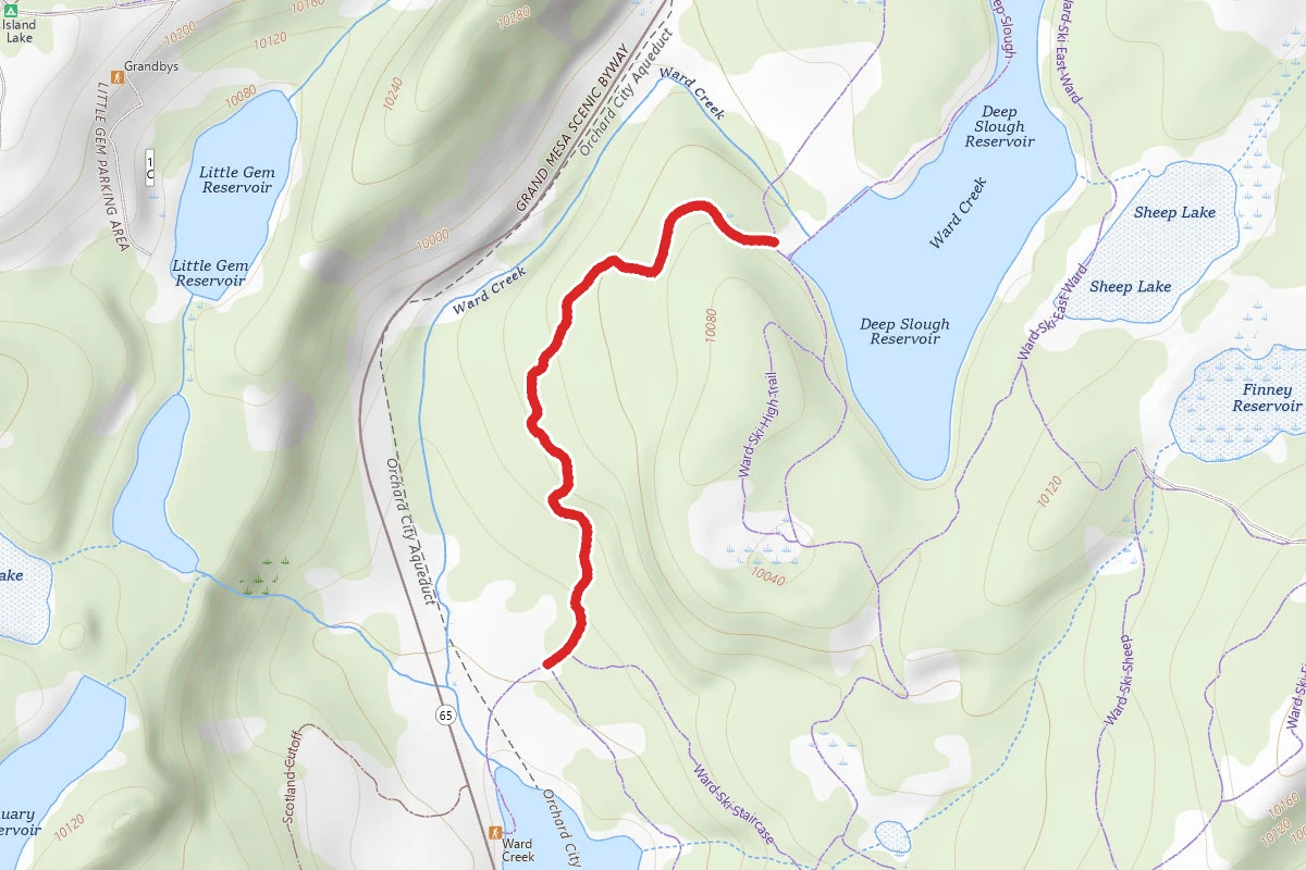 Ward Ski Wild Trail