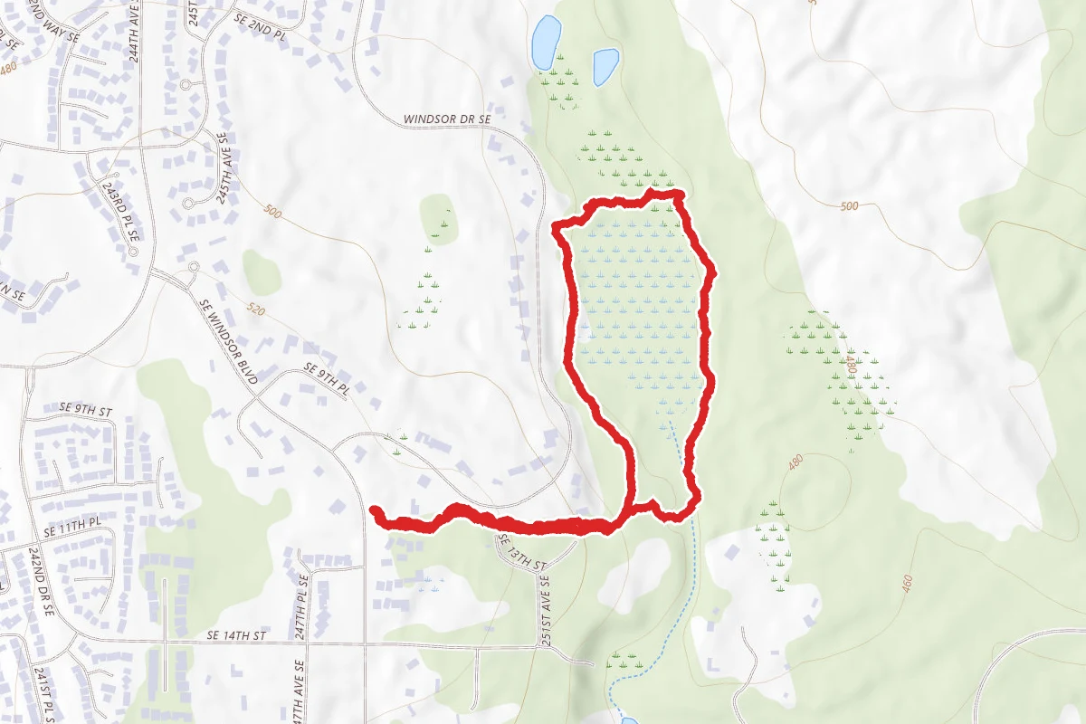 Hazel Wolf Wetlands Trail