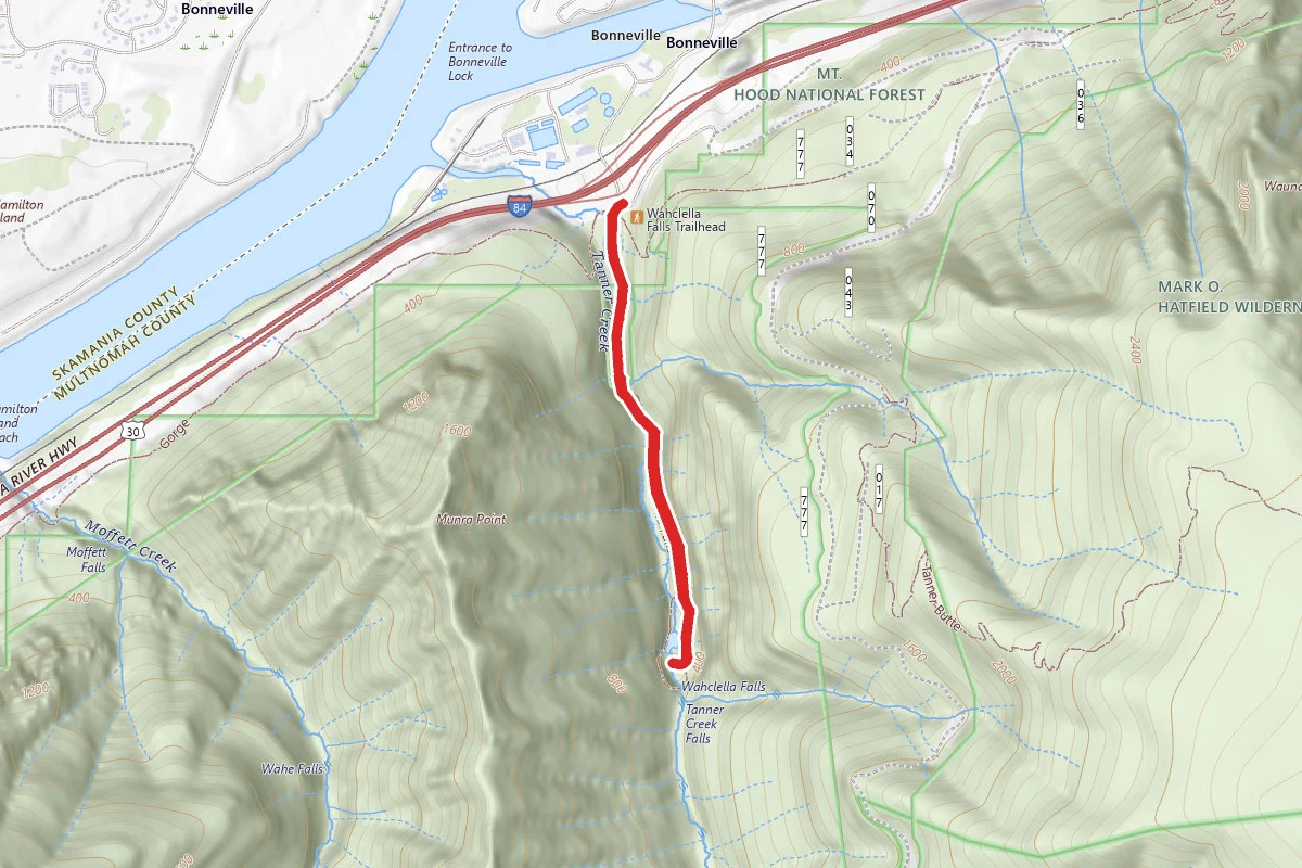 Wahclella Falls Trail