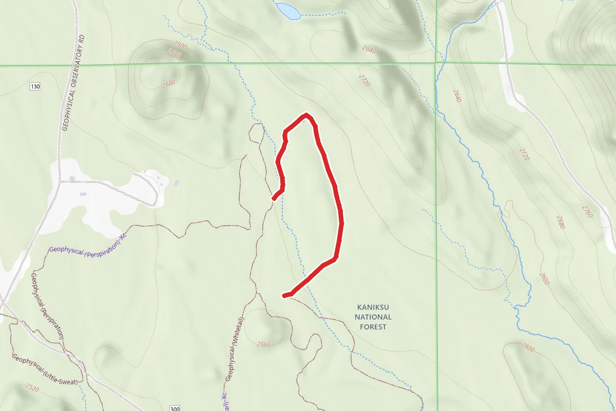 Geophysical (Rough Ridge)