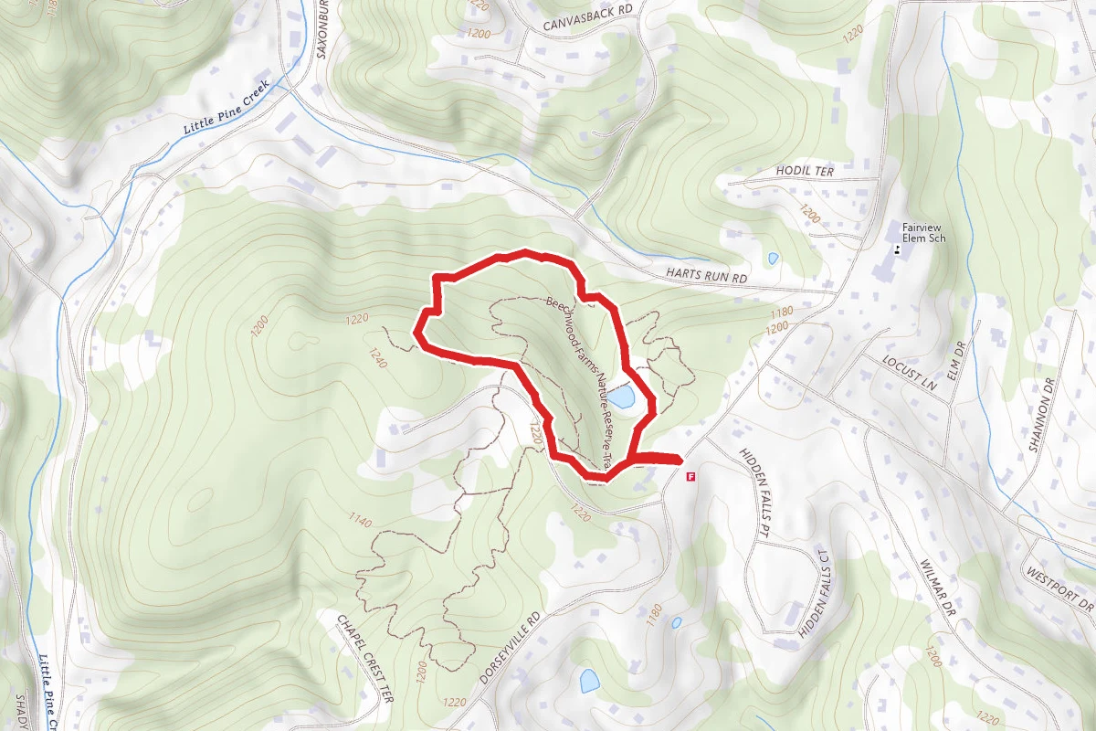 Beechwood Farms Nature Reserve Trail System
